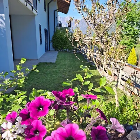 Hébergement de vacances Carlotta Rossa - With Garden And Pool